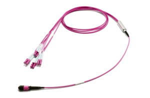 Разветвительная кабельная сборка (гидра) 1×MPO(8) (male) – LC(8), OM4, 1 м, выносы 0,5 м, LL