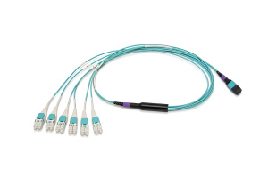 Разветвительная кабельная сборка серии CORE 8 1 × MTP(8) (male) — LC(8), OM3, 1 м, выносы 0,7 м, ULL