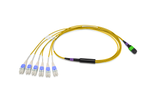 Разветвительная кабельная сборка серии CORE 12 1 × MTP(12) (male) — LC(12), SM G.657.A2, 1 м, выносы 0,7 м, ULL