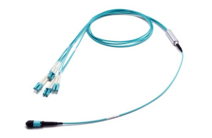 Разветвительная кабельная сборка (гидра) 1×MPO(8) (male) – LC(8), OM3, 1 м, выносы 0,5 м