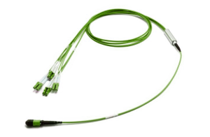 Разветвительная кабельная сборка (гидра) 1×MPO(12) (male) – LC(12), OM5, 1 м, выносы 0,5 м, LL