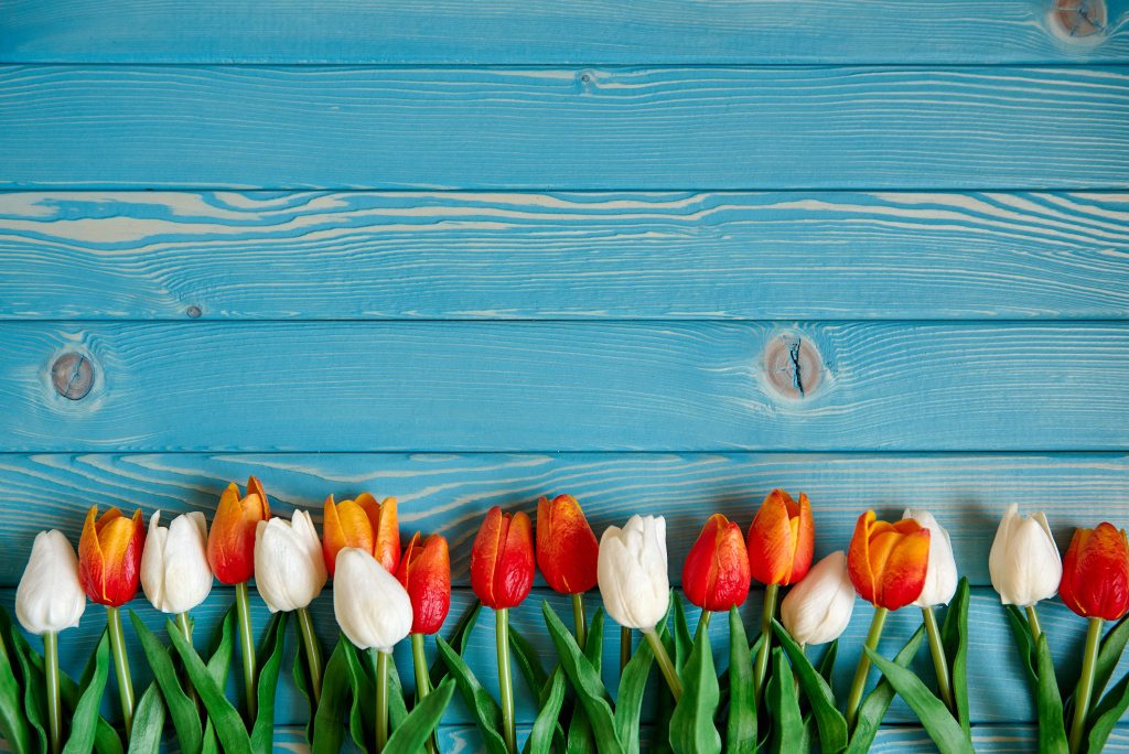 photo1722614410 (7).jpeg