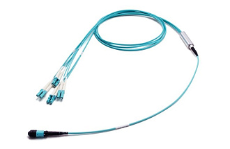 Разветвительная кабельная сборка (гидра) 1×MPO(24) (male) – LC(24), OM3, 30 м, выносы 0,5 м, LL