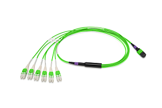 Разветвительная кабельная сборка серии CORE 8 1 × MTP(8) (male) — LC(8), OM5, 25 м, выносы 0,7 м, ULL