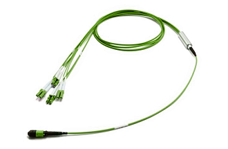 Разветвительная кабельная сборка (гидра) 1×MPO(8) (male) – LC(8), OM5, 3 м, выносы 0,5 м